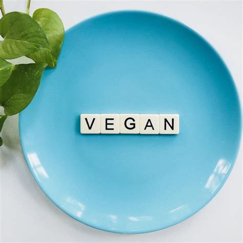 vegan pratique|lets plate go vegan.